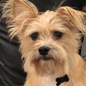 Meet your Posher, Tyler